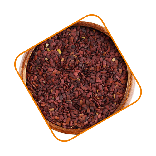 حلبة الخيل