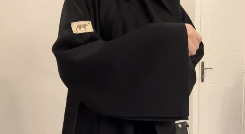 ديم