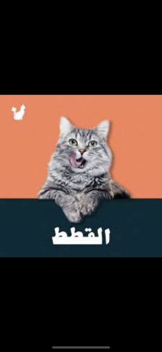 بكج منوع