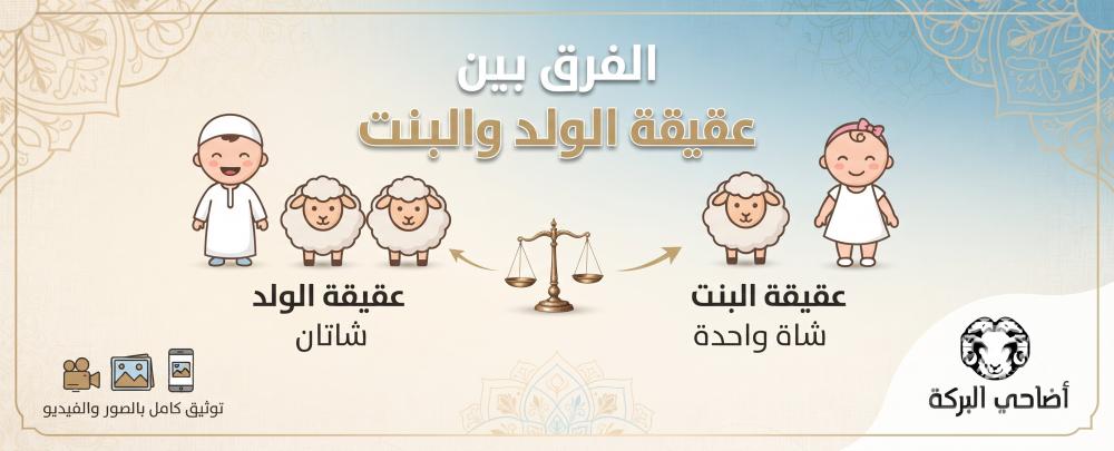 الفرق بين عقيقة الولد والبنت