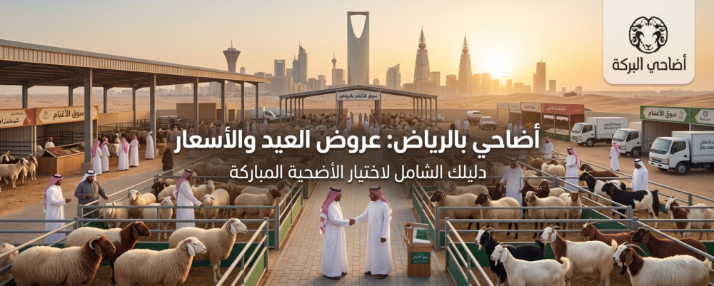 اضاحي بالرياض