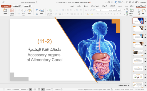 14- ملحقات القناه الهضمية