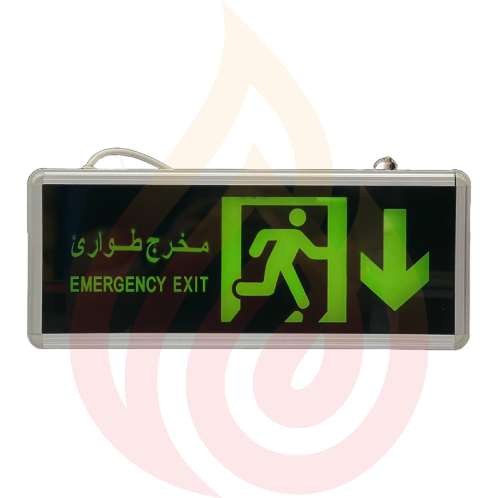 لوحة مخرج طوارئ مضيئة 220V