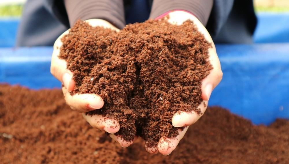 وسط زراعي للنباتات