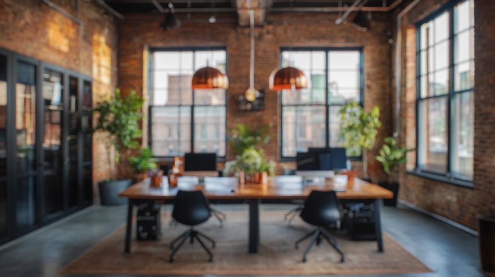 أفضل نباتات للمكاتب للاسترخاء وتعزيز التركيز