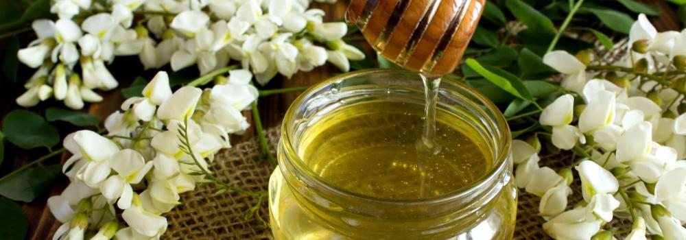 عسل الأكاسيا البوسنوي.. صفاء الطبيعة ورفاهية النقاء