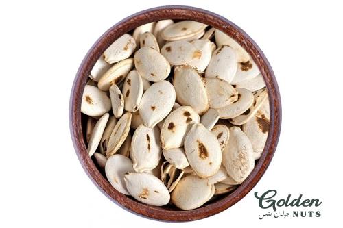 حب قرع مقمر