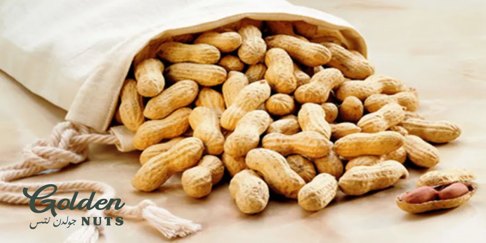 فوائد الفول السوداني: بناء العضلات وطاقة تدوم طويلاً