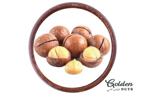 مكاديميا فانيلا