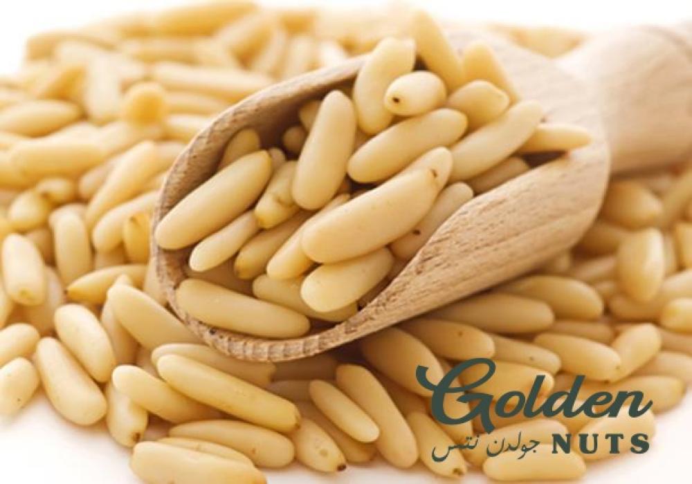 فوائد الصنوبر الصحية: كنز المعادن والسر الطبيعي للرشاقة