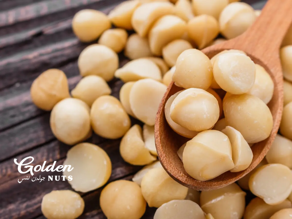 فوائد المكاديميا الصحية: ملكة المكسرات وصديقة القلب