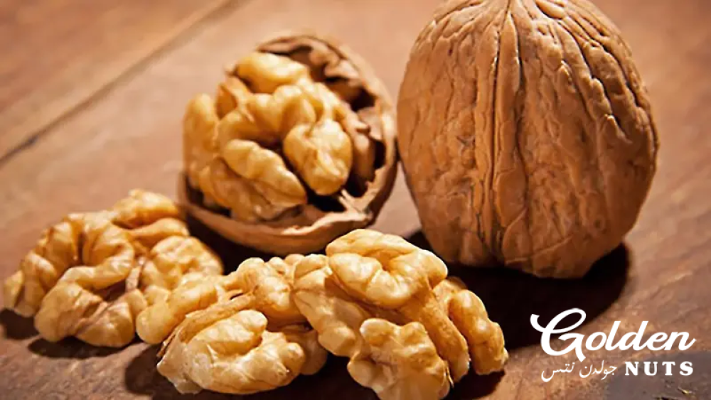 فوائد عين الجمل: الغذاء الأمثل لصحة الدماغ والذاكرة