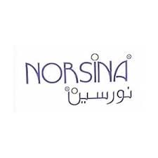 Norsina