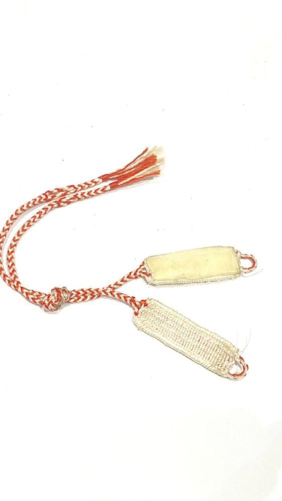 سبق صقر باكستاني ملون