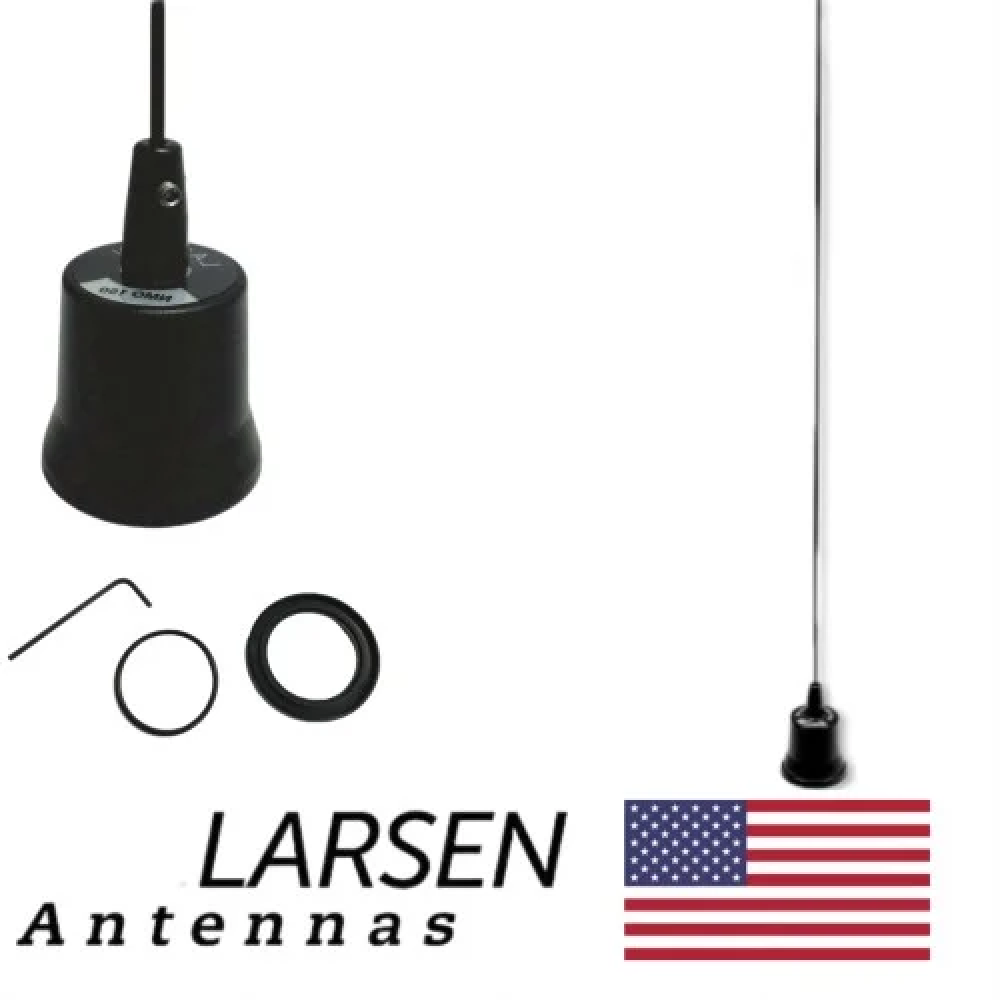 اريل لارسن امريكي