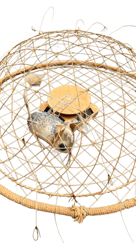 قرشعة جربوع دائرية  علي الطاقة الشمسية