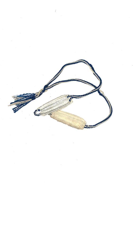 سبق صقر باكستاني ملون