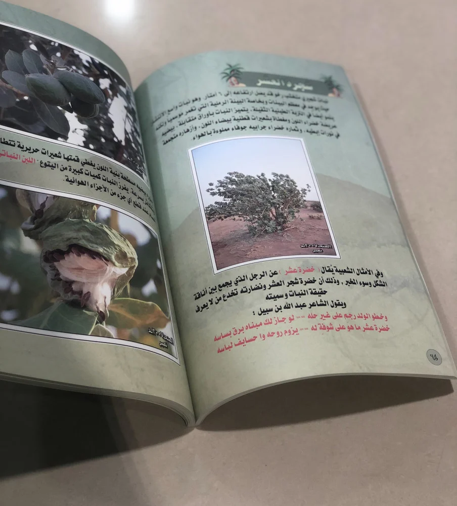 كتاب المتنزهات البرية