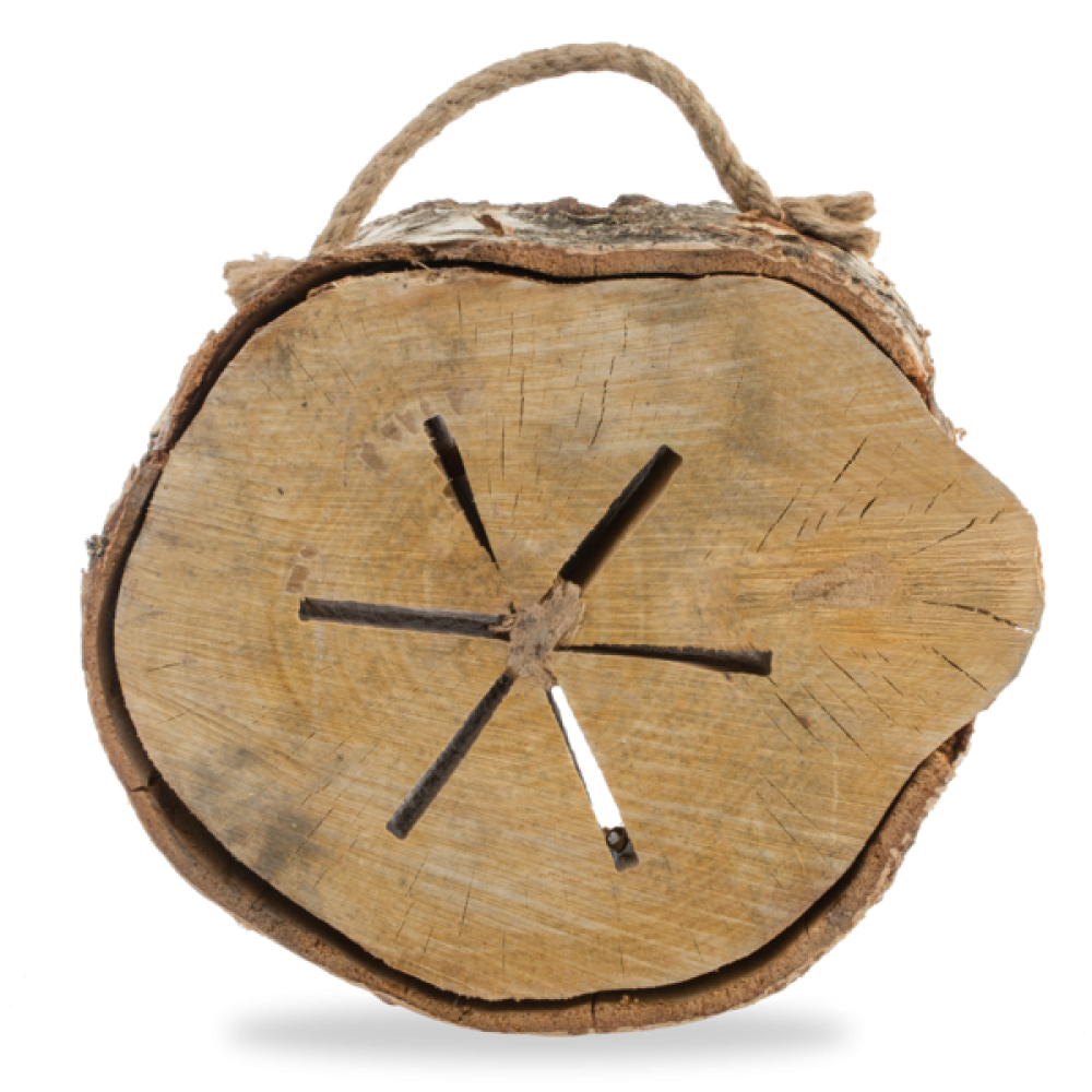 حطب الجذع المشتعل