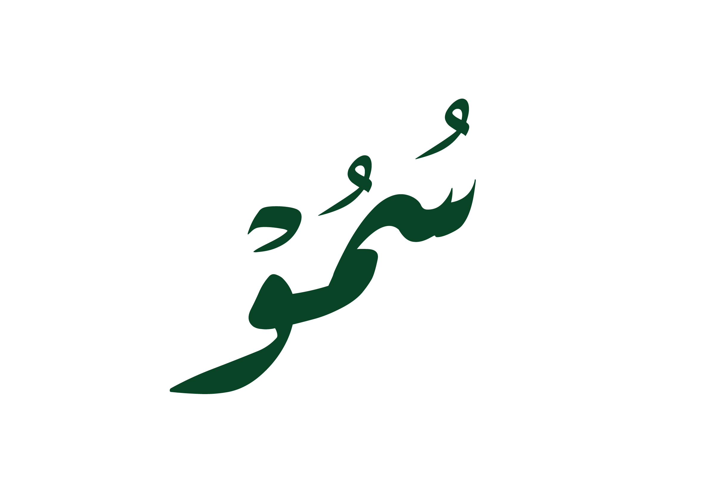 store avatar