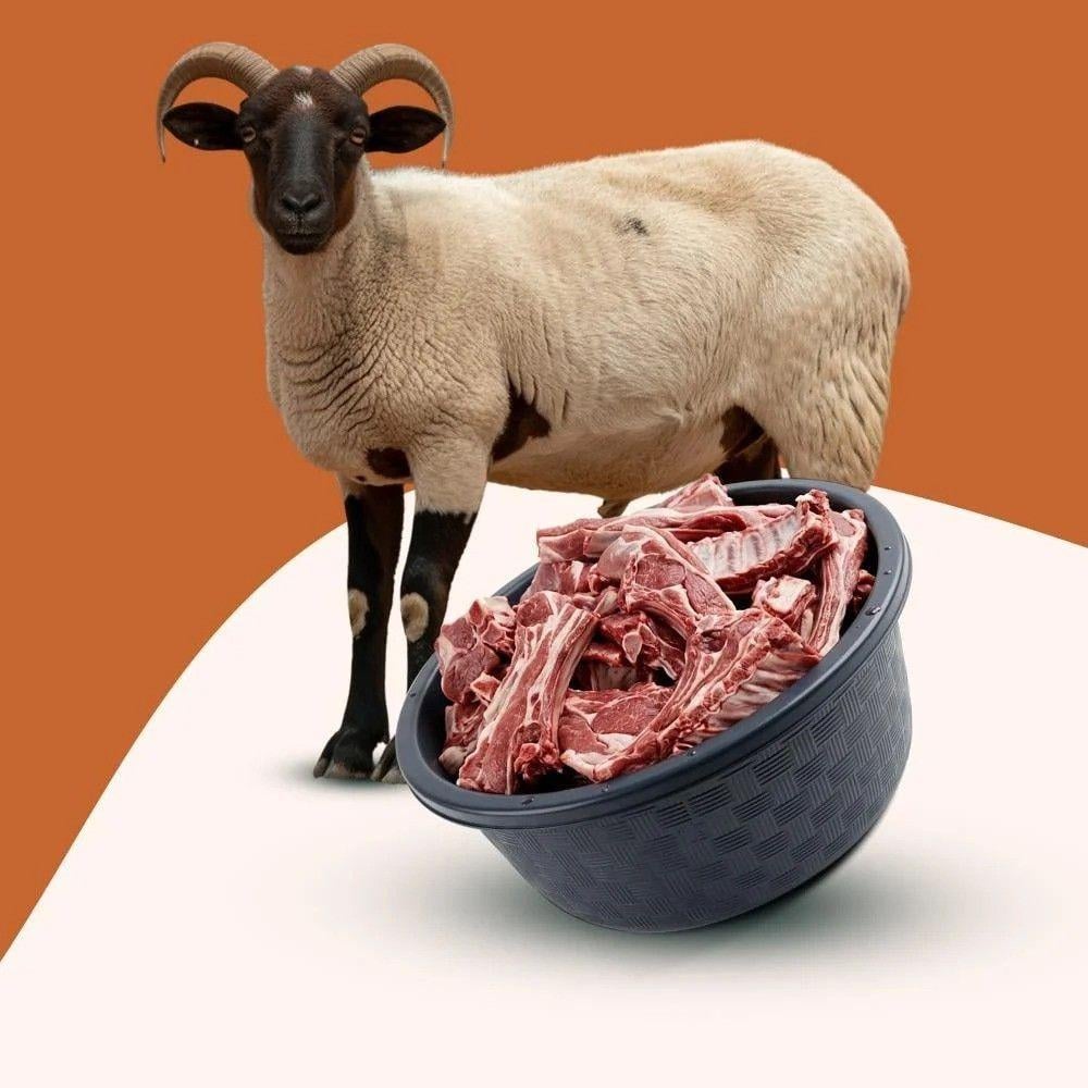 تكلفة ذبح خروف العيد