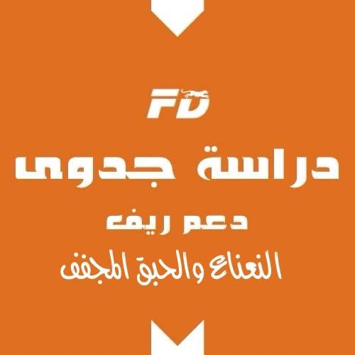 دراسة جدوى النعناع والحبق المجفف ريف