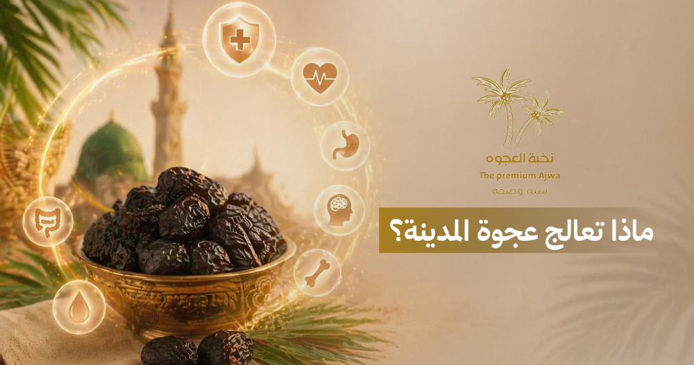عجوة المدينة المنورة