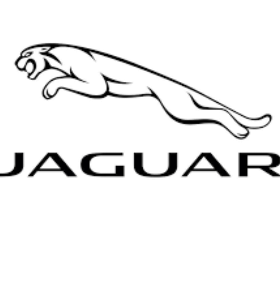 جاكوار