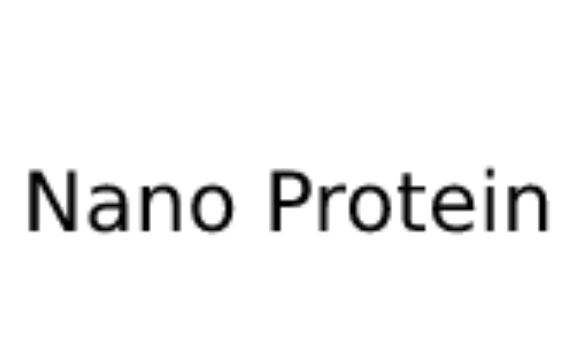 Nano protein