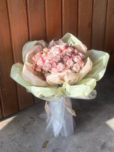 روز دي لايت