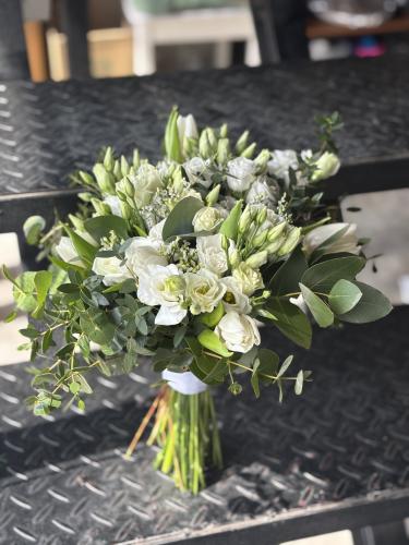 Eucalyptus globulus (natural)