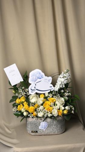 فازة أمين (الاسم حسب الطلب)