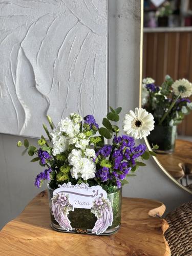 فازة دانه (الاسم حسب الطلب)