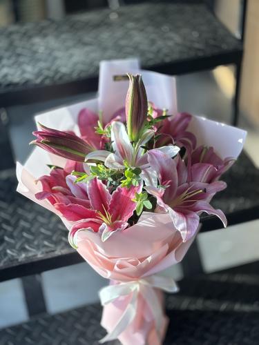 كازابلانكا 2