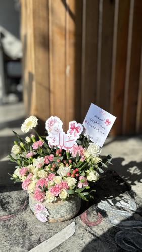 فازة قمر (الاسم حسب الاختيار)