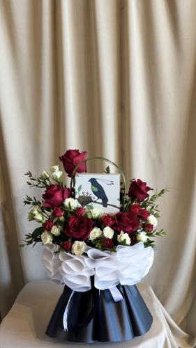 عروسة نوفمبر (مع شوكليت انوش 4قطع)