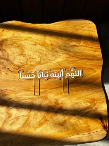 Acrylic inlay (born baby)