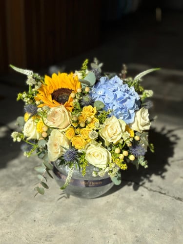 يا نور العين