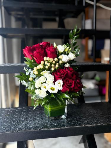 فازة روز احمر وابيض