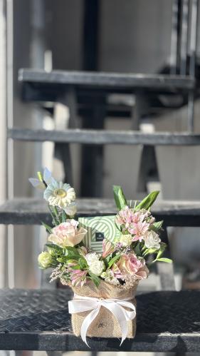 Light Butterfly Patchi