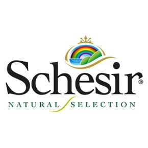 Schesir