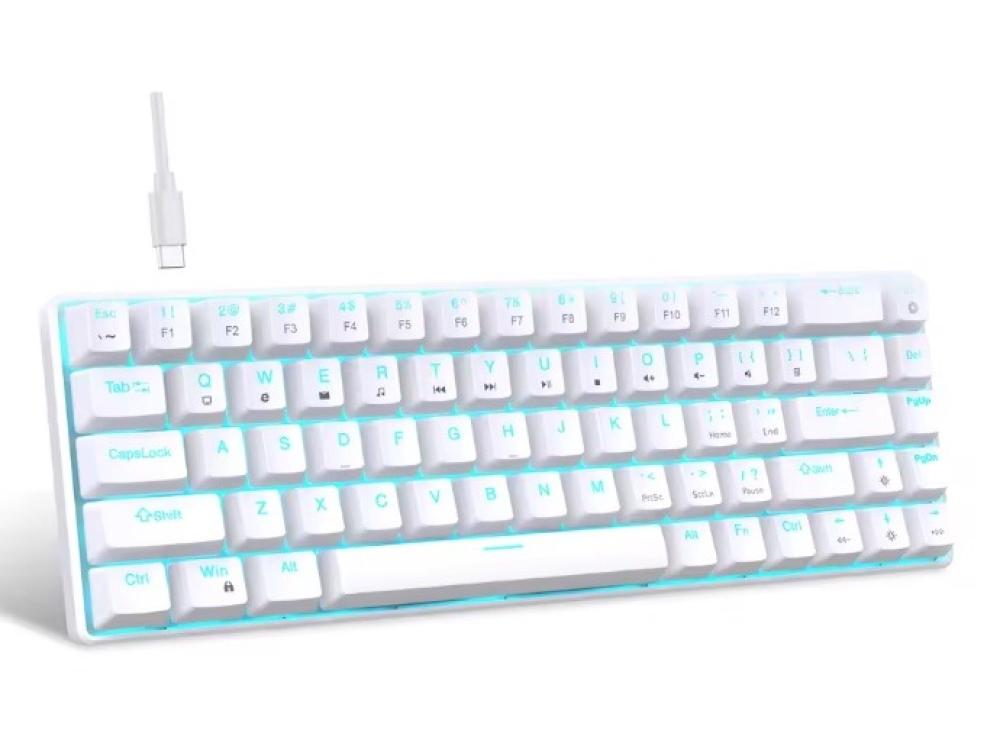 WHITE | blue switch