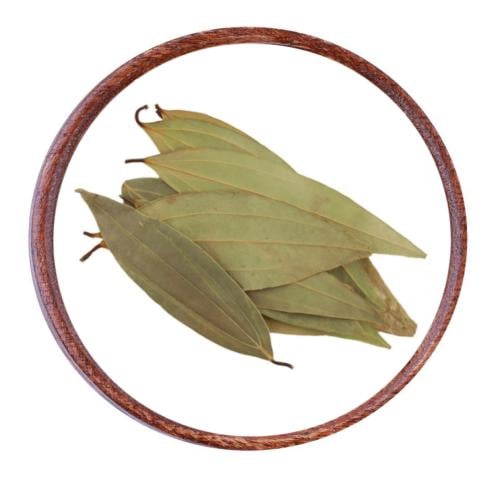 ورق غار