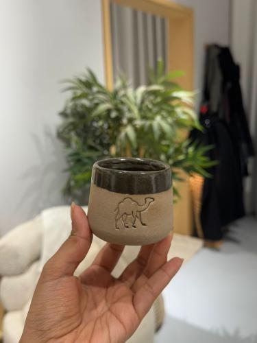 كوب السعوديه بني