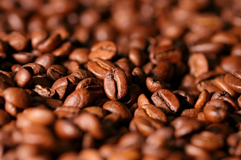الفرق بين القهوة المختصة والقهوة التجارية
