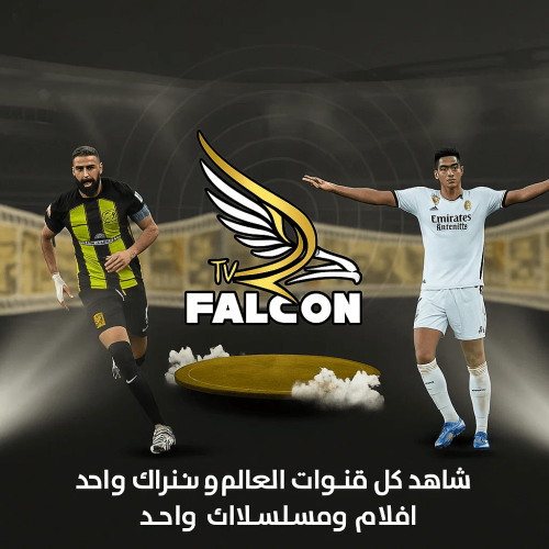 اشتراك فالكون Falcon لمدة سنة بالضمان