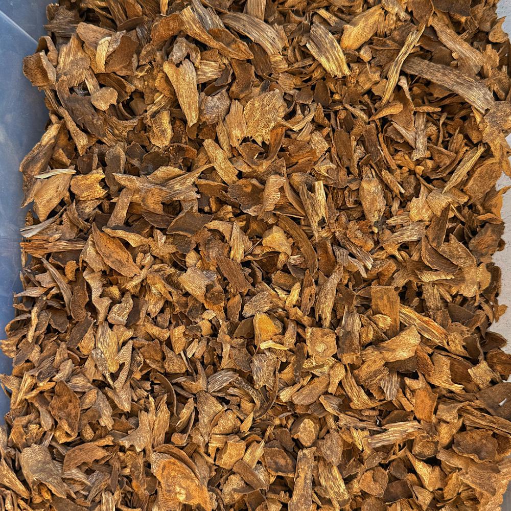 دقة لاوسي الشايب