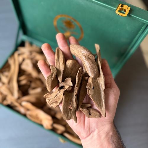 مروكي كسر مباخر ومناسبات