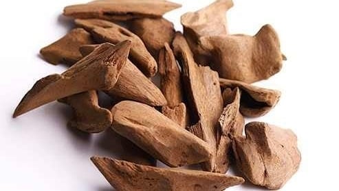 العود الطبيعي