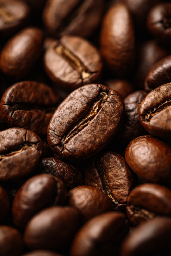 الفرق بين القهوة المختصة والقهوة التجارية